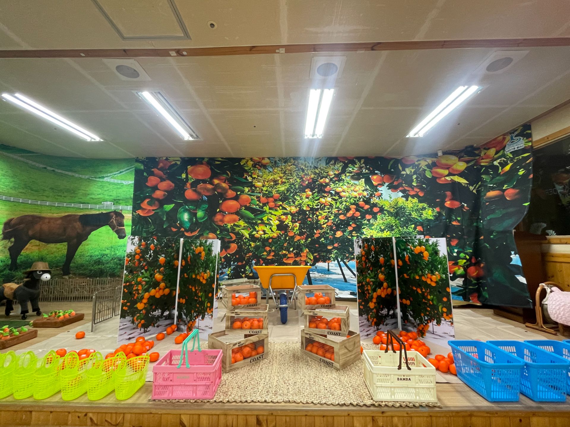 제주도체험  (전화,카카오채널문의) 상세 이미지 4