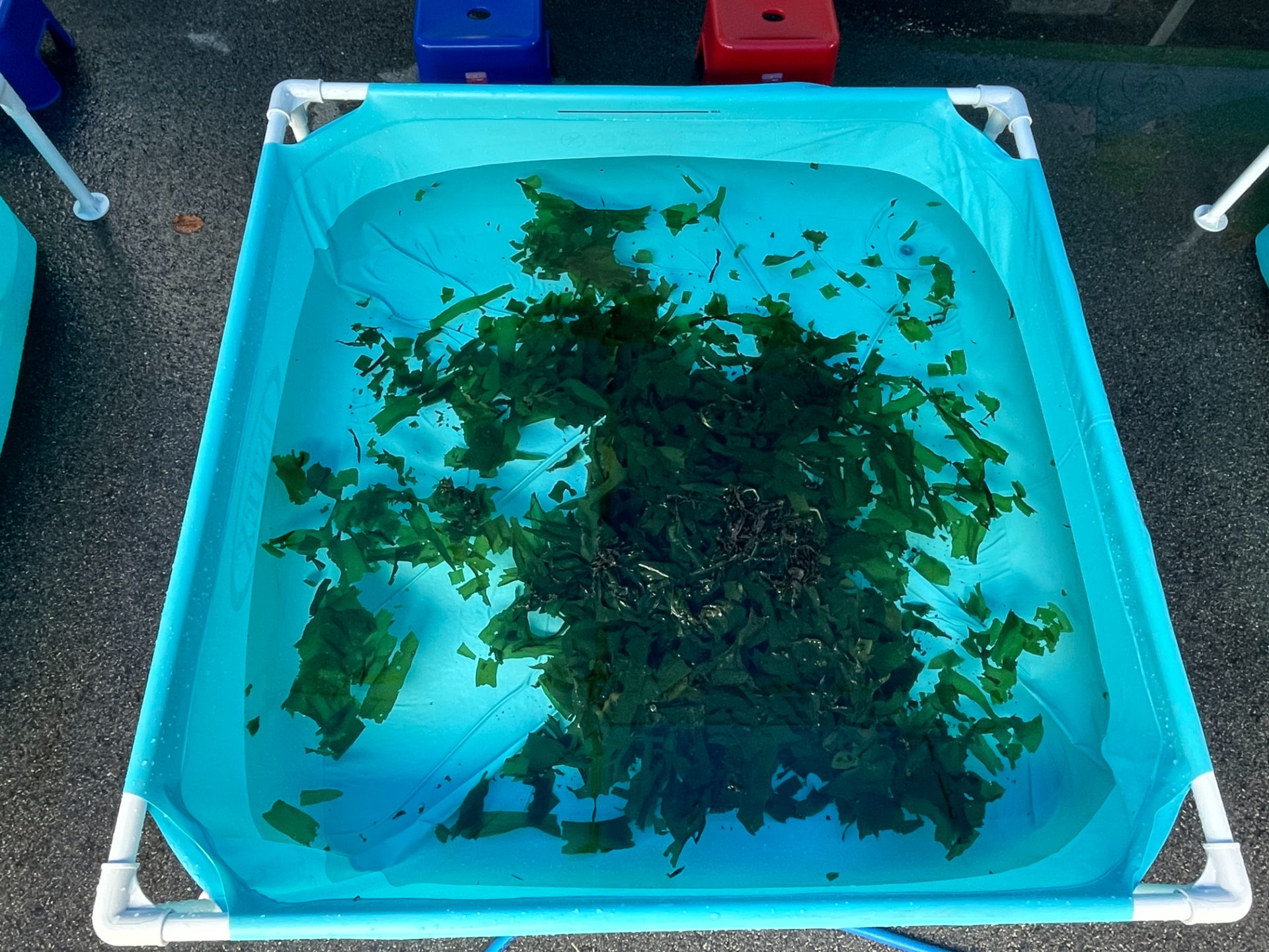 낚시체험  (전화,카카오채널문의) 상세 이미지 8